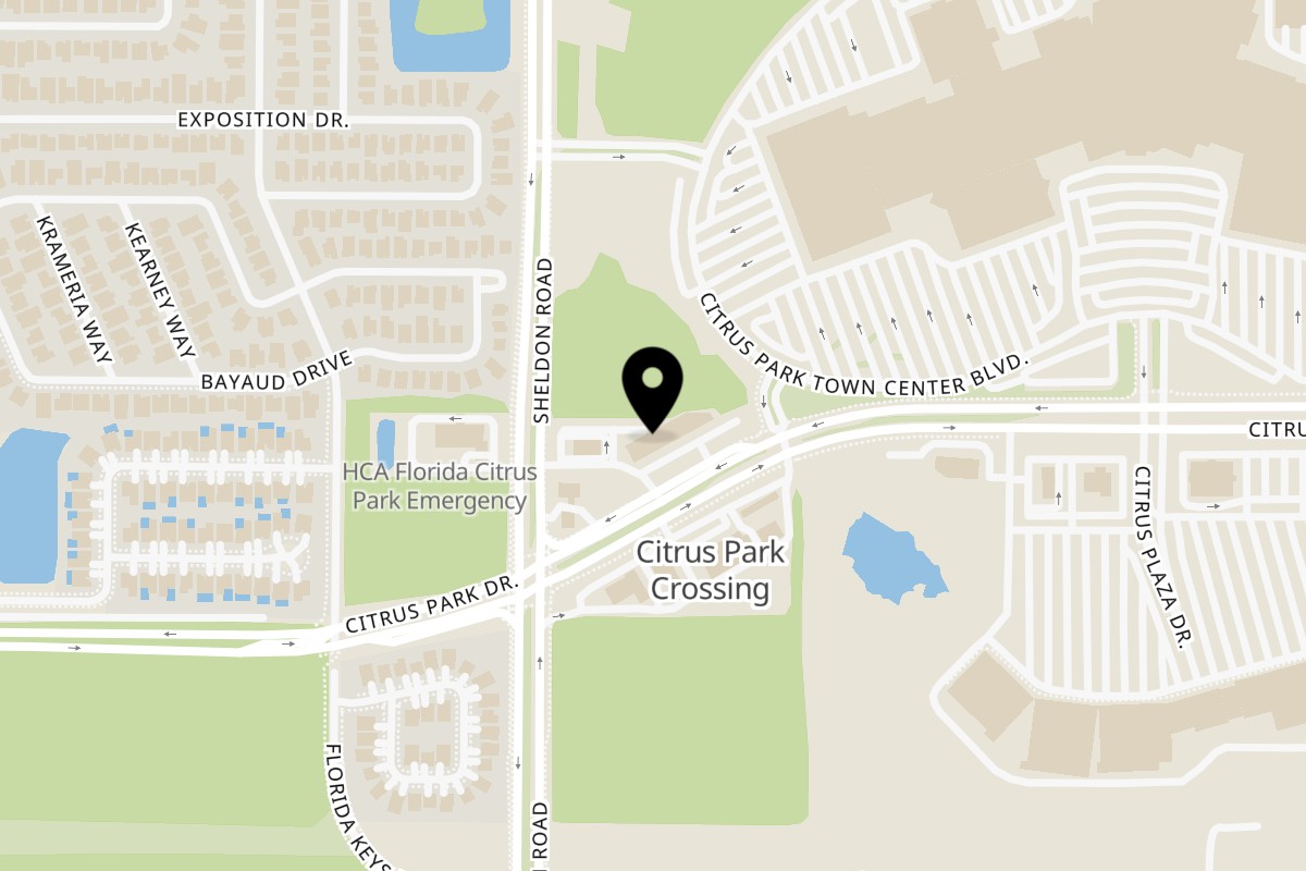 Map showing the location of Funky Sweets Funky Sweets Tampa on 8633 Citrus Park Dr in Tampa